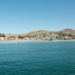 cambriaDR_0243 (November 02, 2019)